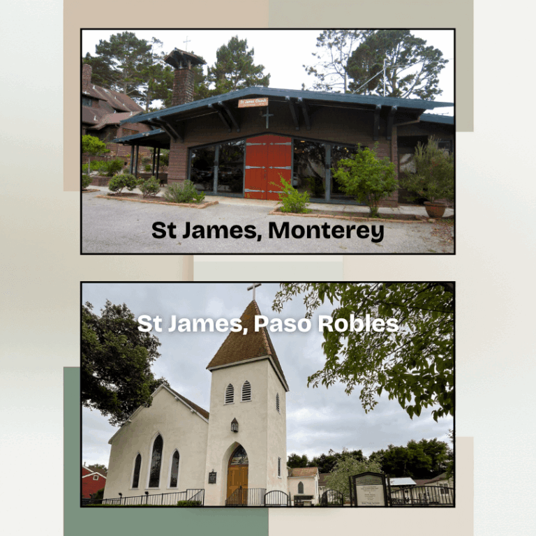 Diocesan Cycle of Prayer on the Ninth Sunday after Pentecost